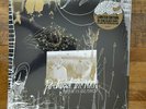 Portugal the Man WAITER YOU VULTURES 180G Limited Vinyl LP Fearless