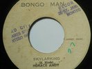 1972 Roots Reggae - SKYLARKING - HORACE ANDY - Coxsone Studio 1 One BONGO MAN 7