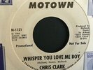 CHRIS CLARK: 
