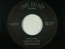 Folk SSW 45 - Garratt Lane - Wild Fire - Galaxy Lane - mp3 - obscure