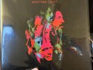 2011 Foo Fighters ‎Wasting Light 2LP 45RPM Roswell Records 88697 84493 1 EX/VG+