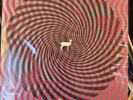 Deerhunter   Cryptograms / Flourescent Grey Double LP Vinyl