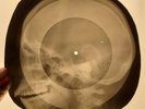 Beatles - Norwegian Wood X-RAY SKULL OF THE USSR X-RAY BONES RECORDS