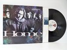 HOTHOUSE FLOWERS home LP EX/EX, 828197.1, vinyl, album, with lyric inner, 1990