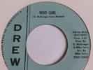 THE PRECISIONS   -  Why Girl    /  What I Want DREW DETROIT NORTHERN SOUL USA 45