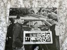 Arctic Monkeys Beneath The Boardwalk vinyl