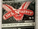 COCKSPARRER - 4 Track Tour Pass Picture Disc 7