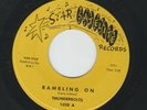 SURF GARAGE GUITAR INSTRO - THUNDERBOLTS  - RAMBLING ON -HEAR 1963 STAR SATELITE
