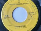 LOS PERVERSOS DEL TROPICO - Cumbia Azteca  / RARE CUMBIA MEXICO ACCORDION 45