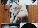 Aerosmith - Get A Grip SUPER RARE COW VINYL (Only 1100 made) MINT in SHRINK