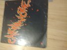 carnivore lp roadracer records 1985 type o negative Roadrunner metal thrash