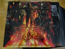 Broken Hope – Grotesque Blessings - LP