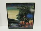 FLEETWOOD MAC Tango In The Night 1987 VINYL LP Warner Bros 25471 w Lyric Inner