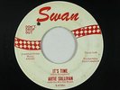 Teen Rocker 45 - Artie Sullivan - It's Time - Swan - VG+ mp3