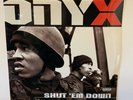 Onyx - Shut ‘Em Down - Vinyl 2 LP Record SEALED  Original 1998 JMJ/Def Jam 1st