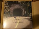 New The Backseat Lovers - When We Were Friends Color Vinyl LP SEALED