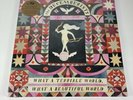 THE DECEMBERISTS - WHAT A TERRIBLE WORLD, WHAT A BEAUTIFUL WORLD NEW VINYL 180GR