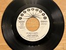 James Fountain My Hair Is Nappy Burning Up For Your Love Peachtree Northern Soul