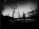 Walknut GRAVEFORESTS AND THEIR SHADOWS COLOURED VINYL LP NEW MINT