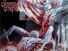 Tomb Of The Mutilated by Cannibal Corpse (Record, 2021)  Red Slushie Vinyl OOP