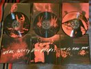 Twenty one pilots blurryface live Collector's 3 Picture Disc Set