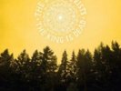 DECEMBERISTS: KING IS DEAD (LP vinyl *BRAND NEW*.)