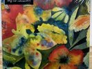 ADRIANNE LENKER - SONGS AND INSTRUMENTALS (2 LP) NEW VINYL