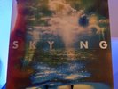 The Horrors Skying (2xLP Album)