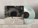 Limited Color Vinyl LP When We Were Friends The Backseat Lovers New Alt Rock