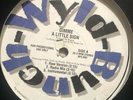 Wyld Bunch “Gimme A Little Sign” Random Rap 12” Private Promo