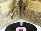 JETHRO TULL ‘Stand Up’ 1969 Vinyl LP in Pop-Up Sleeve & Pink Island Lbls – D33