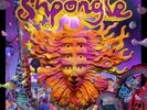 SHPONGLE MUSEUM OF CONSCIOUSNESS VINYL RARE RECORD LP GOA PSY POSFORD SHPONGLED