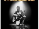 Michael Head and the red elastic band - Dear Scott LTD LP [PREORDER]