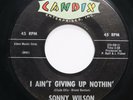 SONNY WILSON - I AIN'T GIVING UP NOTHIN' / TROUBLED TIMES - ROCKABILLY 45
