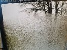 For Emma, Forever Ago by Bon Iver (Record, 2008) Vinyl Excellent condition