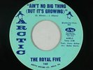 Crossover Soul 45 - Royal Five - Ain't No Big Thing - Arctic - VG+ mp3