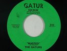 Funk 45 - Gaturs - Wasted/Gator Bait - Gatur - mp3