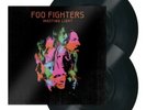 Wasting Light by Foo Fighters (Record, 2011) New