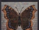 House Of Love The House Of Love - EX UK vinyl LP album record