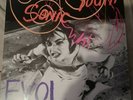 Sonic Youth Evol 12 inch vinyl