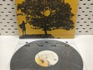Jack Johnson In Between Dreams Vinyl Record (2005)