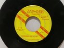 Suspension Of Belief Rare Garage 45 LSD Time ZAY-DEE Records 45