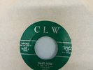45 LITTLE ELLIS & THE L7's BARB WIRE / SAY HEY Rockabilly surf intro CLW VG++