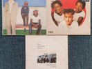 TERRY HALL THE FUN BOY THREE COLOUR FIELD LP 12
