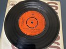 The United States Of America Rare UK CBS 45 The Garden Of  Earthly Delights