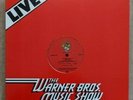 PAT METHENY GROUP - RARE COLLECTOR'S ITEM  LIVE ON TOUR WB MUSIC SHOW RECORDING