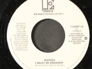 WANDA: i must be dreamin' / mono ELEKTRA 7