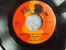 INSANELY RARE DETROIT GARAGE SWEET SOUL-RINA RECORDS 1002-THE DEZILLES-45