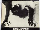 Saccharine Trust Paganicons ORIGINAL 1981 SST-006 12