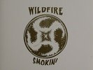 Wildfire SMOKIN' Limited Edition 500 Only USA 1996 OR Records RARE LP